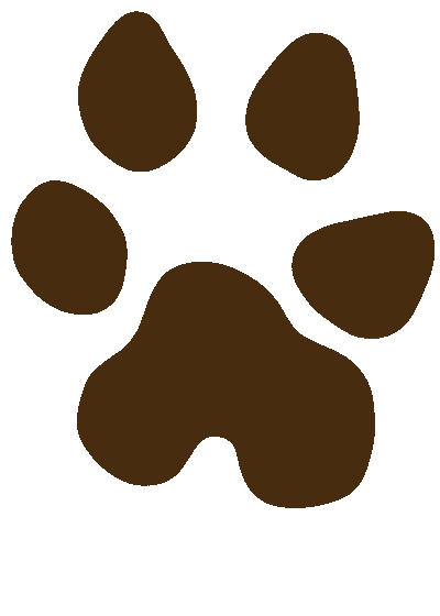 Sacramento pet sitter, Sacramento pet sitters, Sacramento pet sitting, Sacramento dog walkers, Sacramento dog walking